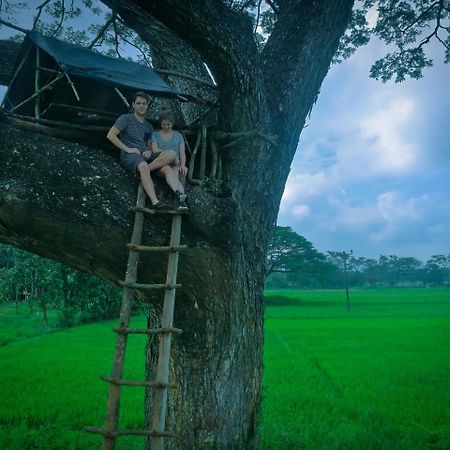 Sigiriya Lahiru Homestay 외부 사진