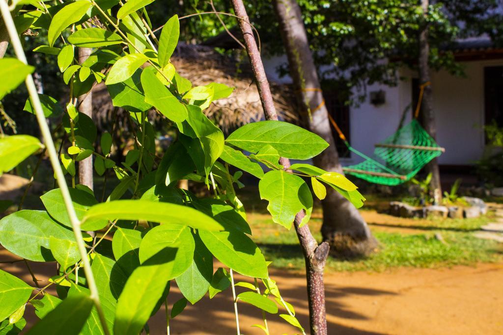 Sigiriya Lahiru Homestay 외부 사진