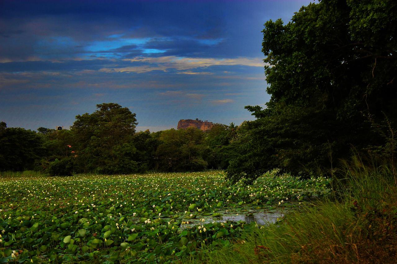 Sigiriya Lahiru Homestay 외부 사진