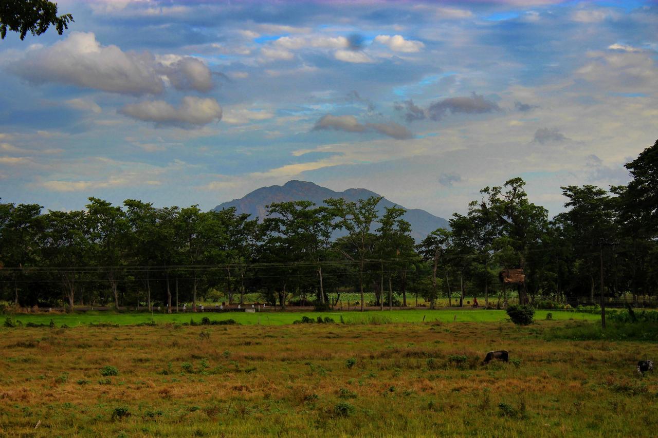 Sigiriya Lahiru Homestay 외부 사진