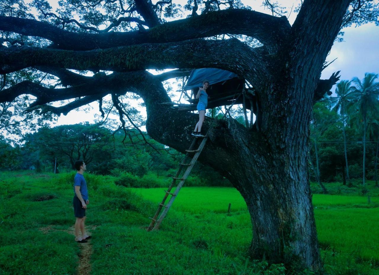 Sigiriya Lahiru Homestay 외부 사진